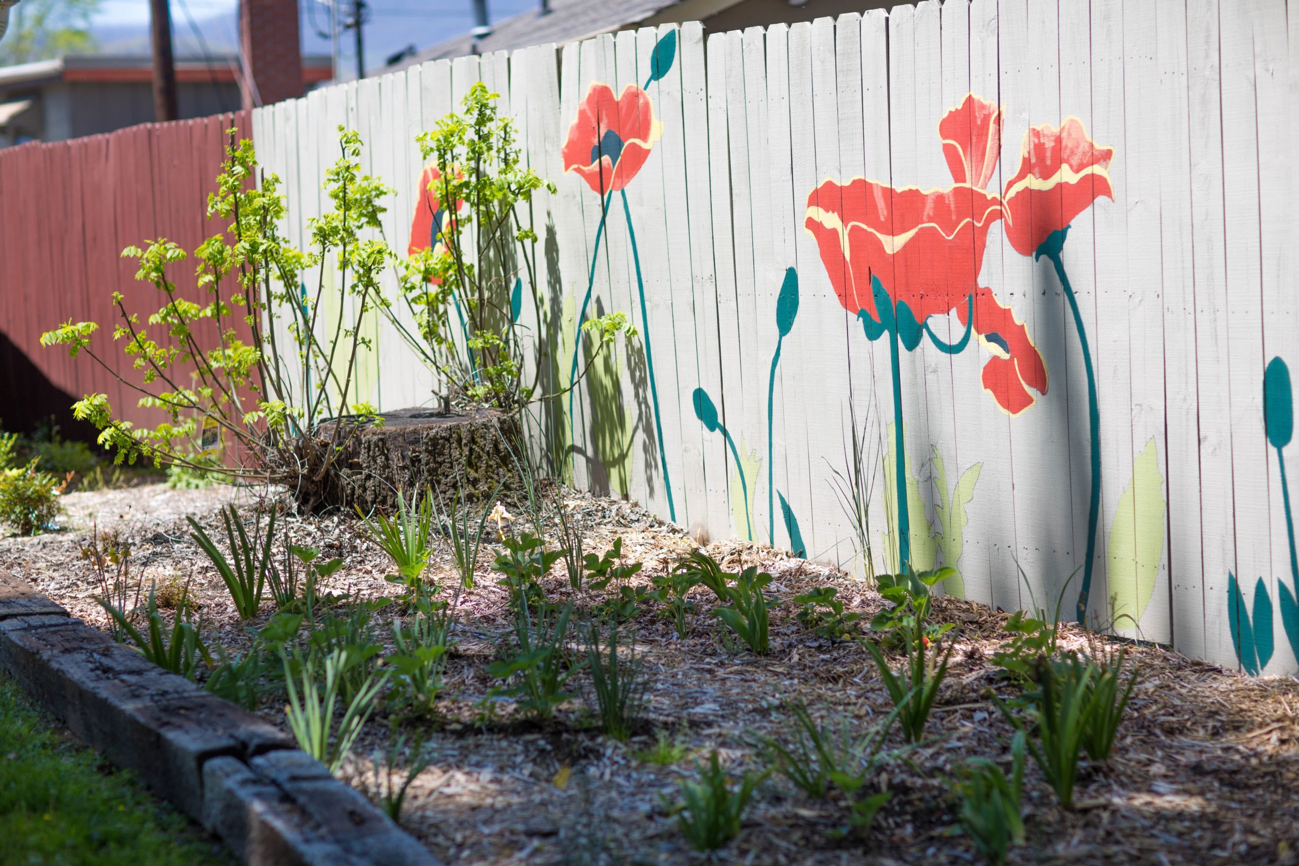 Plants growing in front of painted fence at Tapestry-Brevard